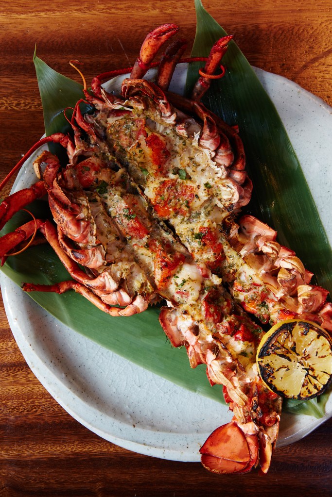 Zuma_Lobster_Yaki_0002 (1)